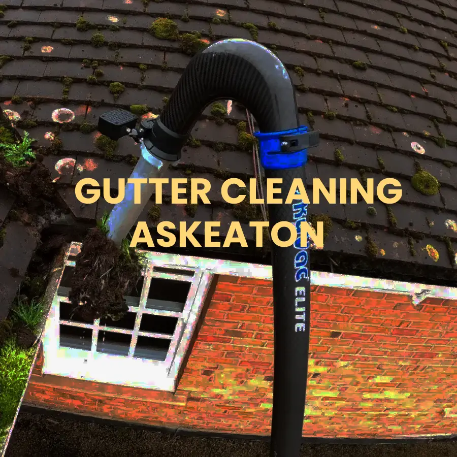 gutter cleaning Askeaton