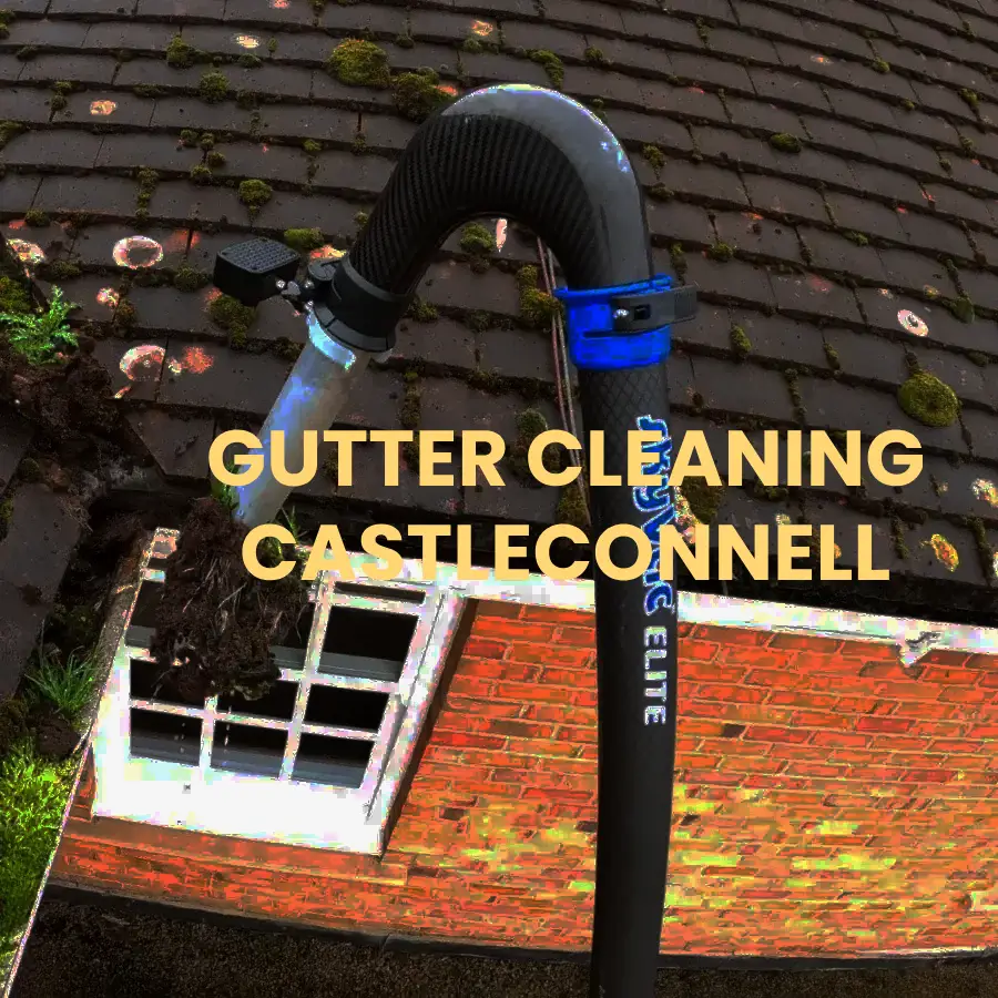 gutter cleaning Castleconnell
