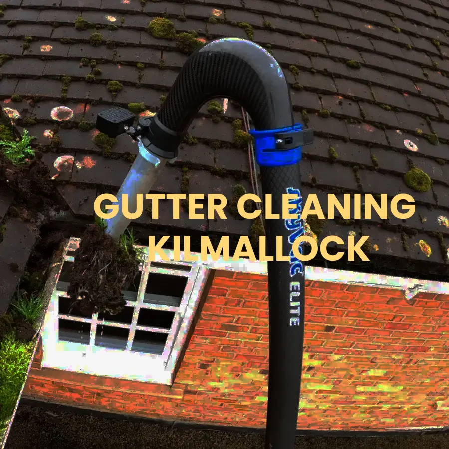 gutter cleaning Kilmallock