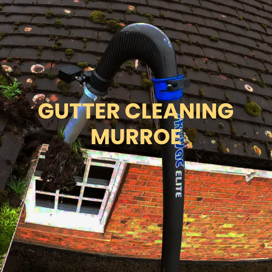 gutter cleaning Murroe