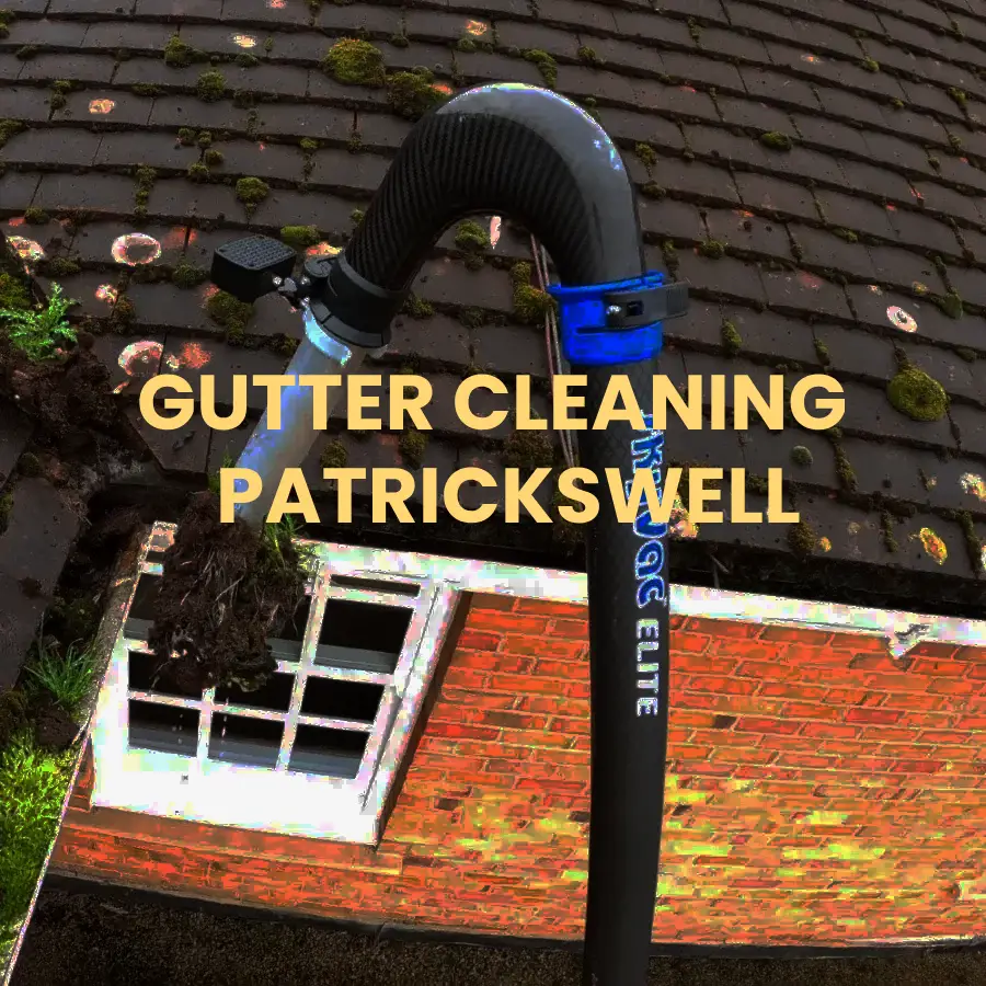 gutter cleaning Patrickswell