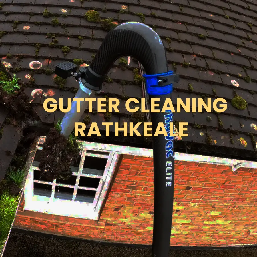 gutter cleaning Rathkeale