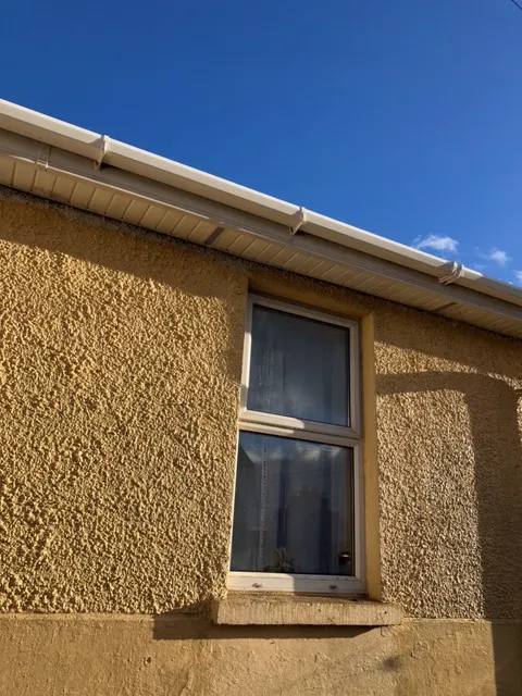 gutter cleaning results in Abbeyfeale